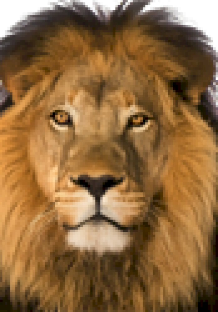 Lion Roar Sound Effect #24 