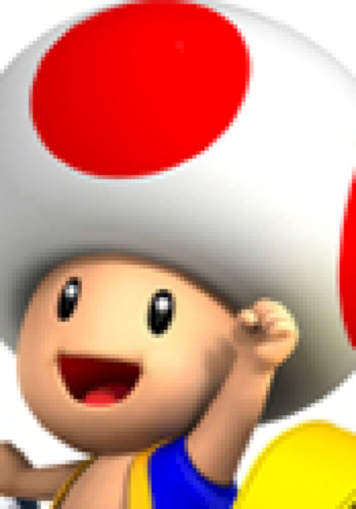 toad voices of mario kart wii download