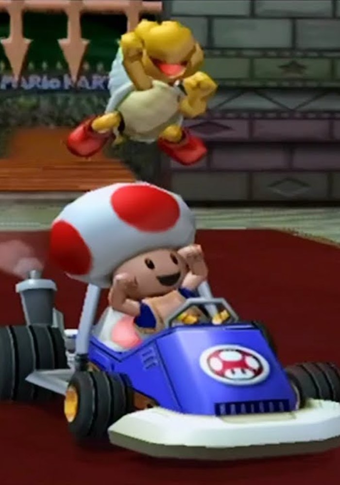 toad and toadette mario kart double dash