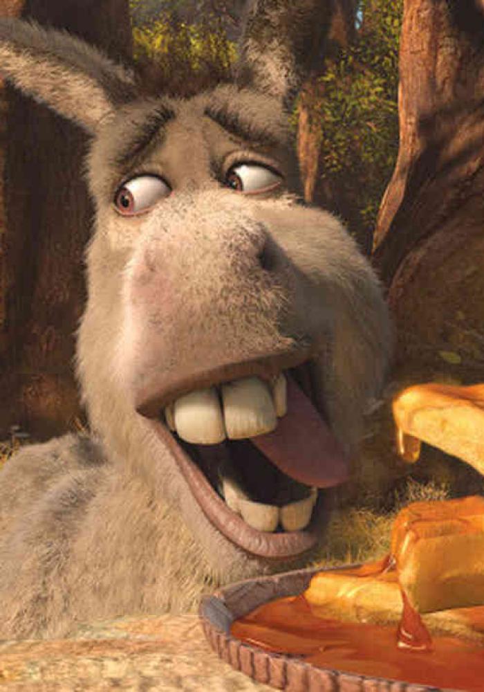 Burro.  Shrek character, Shrek, Shrek donkey