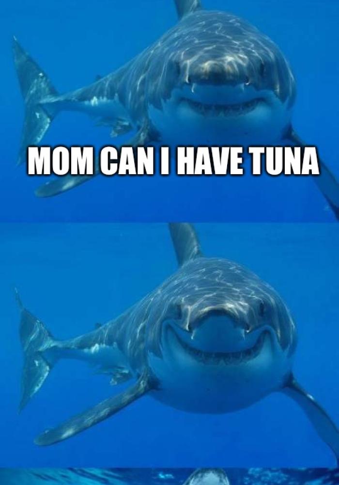 💬 Tuna Meme Soundboard