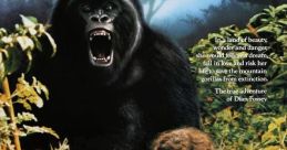 Gorillas in the Mist: The Story of Dian Fossey (1988) Soundboard