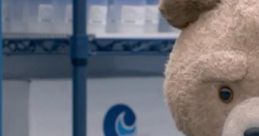 Ted 2 Trailer Ted 2 is a comedy film that was released in 2015. Directed by Seth MacFarlane, the movie serves as a sequel to