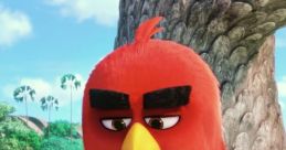 The Angry Birds Trailer The Angry Birds Trailer burst onto the scene in 2016, creating a frenzy of excitement among fans