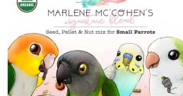 Chirp - Mc parrot Have you ever heard the delightful chirping of a Mc parrot? The is at once melodic and playful, a