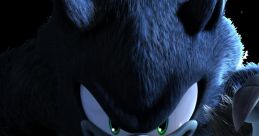 The Werehog (Sonic Unleashed) The Werehog from Sonic Unleashed