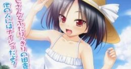 Natsu Ecchi: Mei to Inaka no Natsuyasumi なつえっち ～めいといなかのなつやすみ～ - Video Game Video game from Natsu