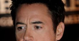 Robert Downey Jr Type your text to hear it in the voice of Robert Downey Jr.