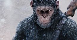 War for the Planet of the Apes | Final Trailer "War for the Planet of the Apes" is the final installment in the critically