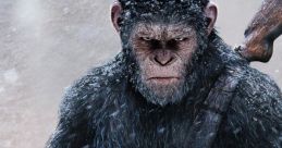 War for the Planet of the Apes | Final Trailer Soundboard