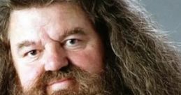 Hagrid (italian dub) (Harry Potter) (voice actor Francesco Pannofino) Type your text to hear it in the voice of Hagrid