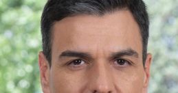 Pedro Sanchez (Spanish Politician) Type your text to hear it in the voice of Pedro Sanchez (Spanish Politician).