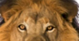 Majestic lion close-up, showcasing its powerful gaze and impressive mane, symbol of strength and courage in the wild.