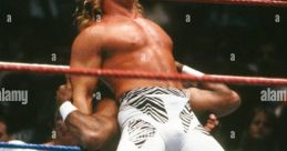 Shawn Michaels 90s Era WWE Type your text to hear it in the voice of Shawn Michaels 90s Era WWE.