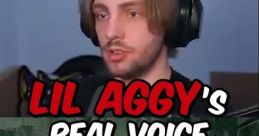 LilAggy (YouTuber-streamer) Type your text to hear it in the voice of LilAggy (YouTuber/streamer).