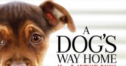 A Dog's Way Home "A Dog's Way Home" is an enchanting movie that takes viewers on an incredible journey alongside a lovable