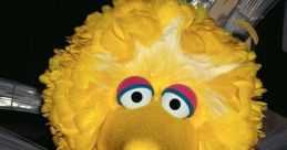 Big Bird Matt Vogel Sesamestreet Type your text to hear it in the voice of Big Bird Matt Vogel Sesamestreet 