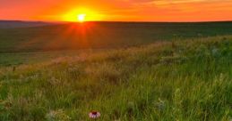 Prairie The of a windy day on the prairie create a captivating cape that transports you to the vast expanse of the