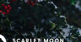 Scarlet Moon Christmas Volume III Scarlet Moon Christmas, Vol. III - Video Game Video game from Scarlet Moon Christmas