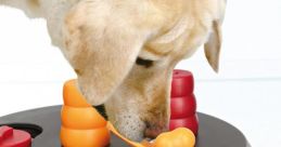 Dog Toy Dog toys come in all shapes and sizes, but one of the most iconic associated with them is the high-pitchedueak of