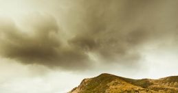 Grassland The tranquil of a skylark singing its melodious tune cut through the crisp morning air. The bird's sweet trill