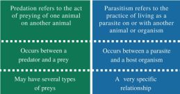 Predation Predation is a primal instinct embedded in the DNA of many animals, and the associated with it can evoke a