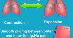 Hard-Breathing The unmistakable of hard breathing fills the room, a symphony of deep inhales and exhales that echo with