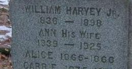 William Harvey, Jr. (Approachable, Neighborly Fellow) Type your text to hear it in the voice of William Harvey, Jr.