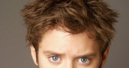 Elijah Wood Actor - Lord of the Rings. Type your text to hear it in the voice of Elijah Wood