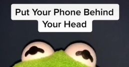 KermitOnTikTok Type your text to hear it in the voice of KermitOnTikTok. In the realm of TikTok, Kermit the Frog has found