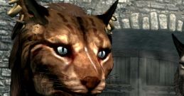 Khajiit Khajiit 