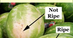 Ripe Type your text to hear it in the voice of Ripe. The subject of "Ripe" evokes a symphony of auditory experiences that