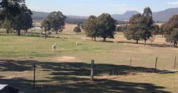 Starline Alpacas Farmstay Type your text to hear it in the voice of Starline Alpacas Farmstay. The first you may hear at