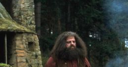 Rubeus Hagrid Type your text to hear it in the voice of Rubeus Hagrid. The that emanate from Rubeus Hagrid Computer AI