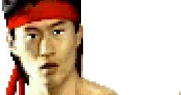 Liu Kang from Mortal Kombat II, showcasing martial arts moves with a red headband and a focused expression.