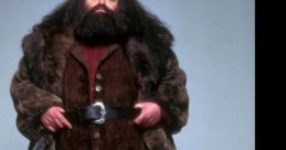 Rubeus Hagrid (PS1) Type your text to hear it in the voice of Rubeus Hagrid (PS1). The first related to Rubeus Hagrid