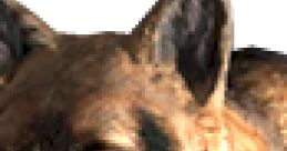 Close-up of a loyal dog companion, inspired by the canine character from Fallout 3, showcasing its keen expressions.