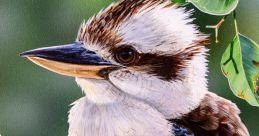 Vibrant portrait of a Laughing Kookaburra perched on a branch amidst lush green foliage, showcasing its striking plumage.