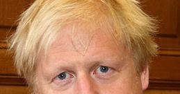 Boris Johnson, UK Prime Minister, poses for a portrait in official attire, showcasing his signature tousled hairstyle.