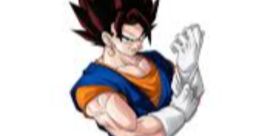 Vegito I'm fusion of Vegeta and kakarot I'm vegito