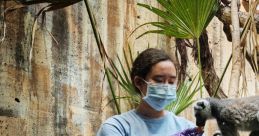 Zookeeper feeding a lemur in a lush indoor habitat, showcasing animal care and conservation efforts.