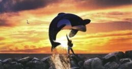 Free Willy (1993) Free Willy is a heartwarming family film that captured the hearts of audiences when it was released in