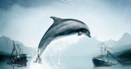 The Cove (2009) The Cove is a powerful and thought-provoking documentary film released in 2009. Directed by Louie Psihoyos,