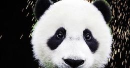 Desiigner - Panda Title: Desiigner - Panda: A Thrilling Hip-Hop Anthem Introduction: In 2016, the acclaimed New York rapper