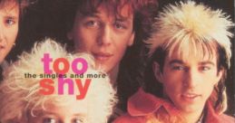 Too Shy - Kajagoogoo "Too Shy" is a popular song by the British band Kajagoogoo, released in 1983. Known for their