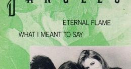 The Bangles - Eternal Flame (Video Version) "The Bangles - Eternal Flame" is a timeless song that captivated audiences upon