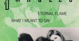 The Bangles - Eternal Flame (Video Version)