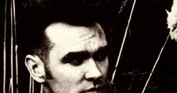 Morrissey - November Spawned A Monster "November Spawned A Monster" is a song by Morrissey, the former lead singer of The