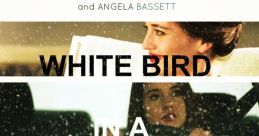 White Bird in a Blizzard Trailer The "White Bird in a Blizzard" trailer introduces viewers to a gripping mystery film.