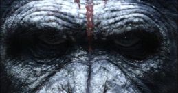 Dawn of The Planet of The Apes Teaser "Dawn of The Planet of The Apes Teaser" is a thrilling movie released in 2014 that